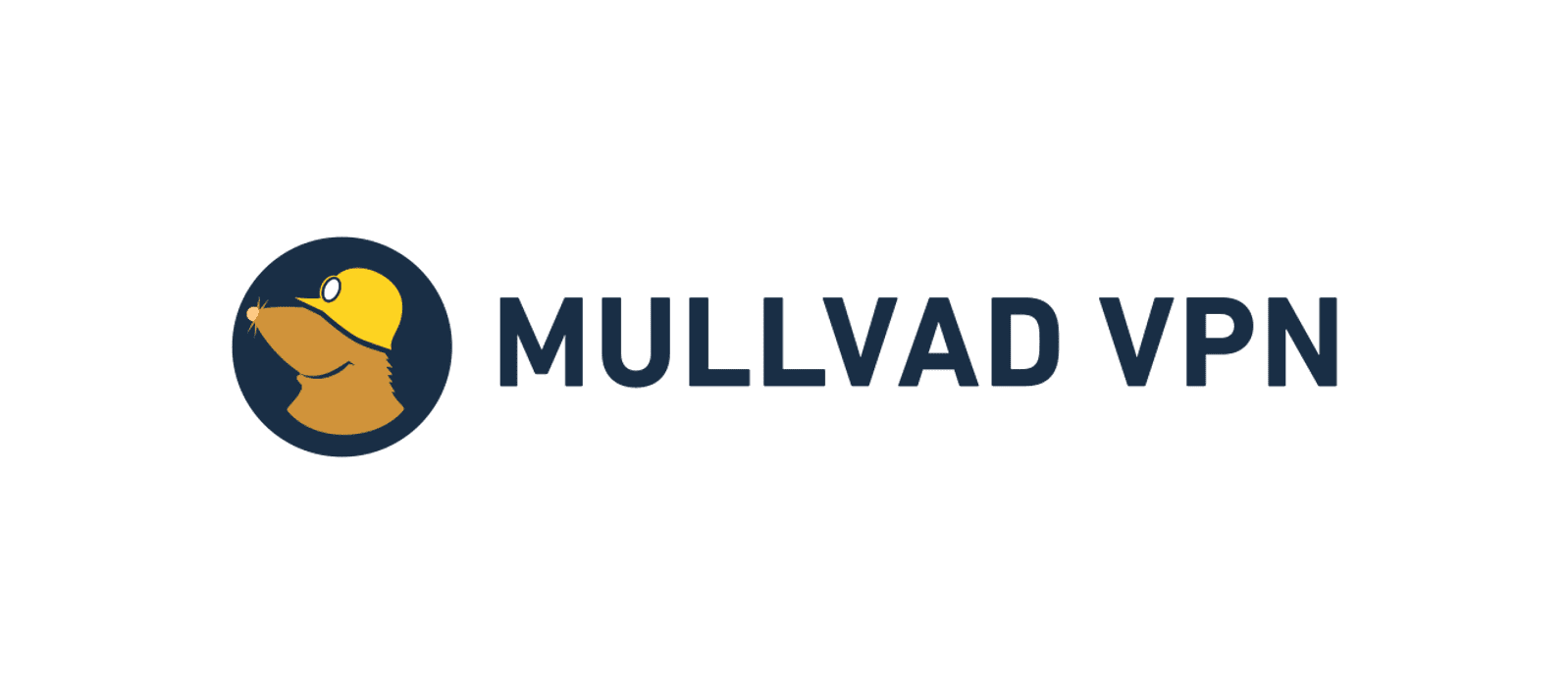 How To Improve My Essay Writing Skills Reddit
