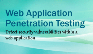 Web Application Penetration Testing Tools for Penetration Tester