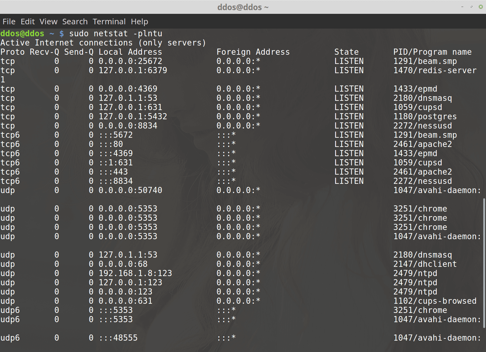 Аналог netstat в linux