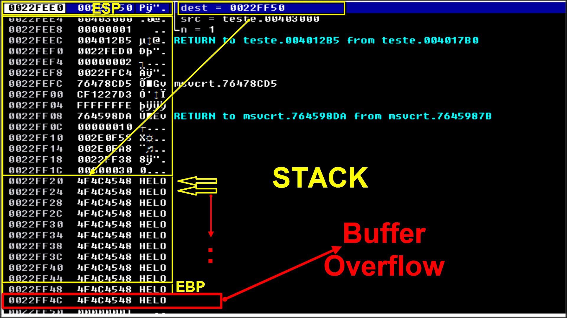 buffer overflow attack on website