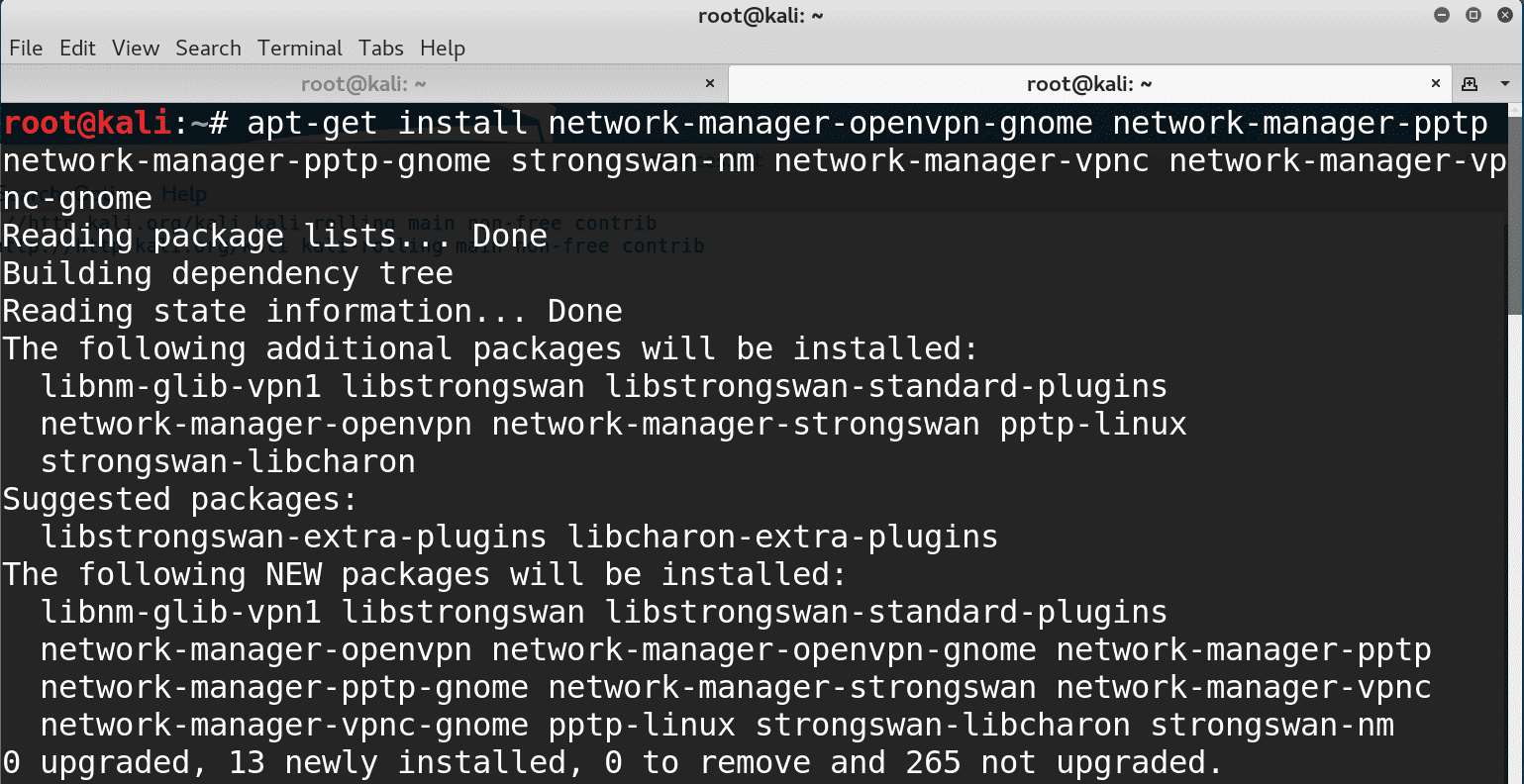 Настройка vpn kali linux