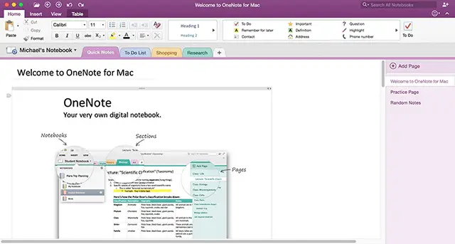 install onenote 2016 with office 2019