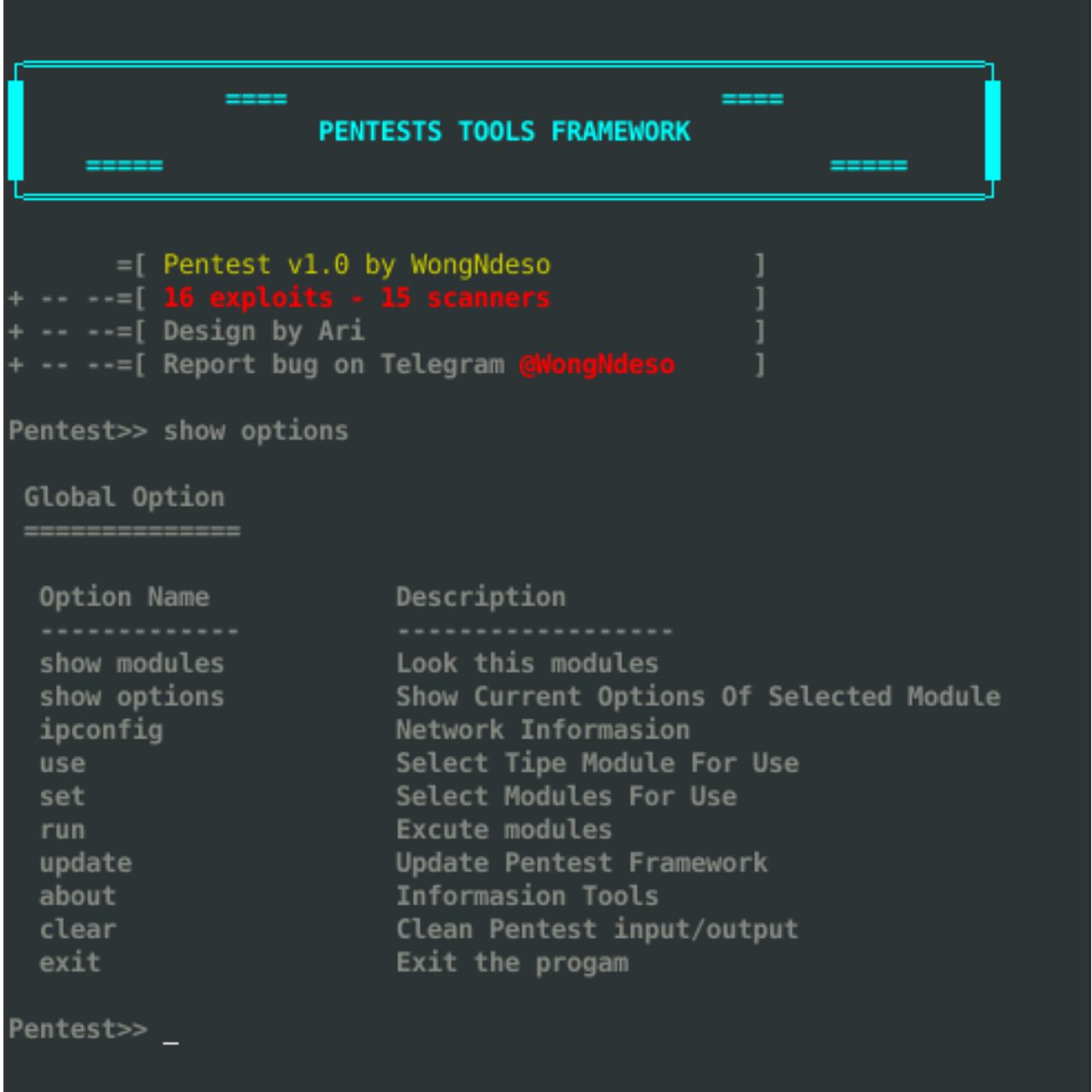 Pentest Tools Framework: database of exploits, Scanners and tools for