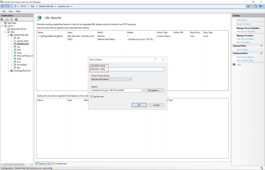 CVE-2022-41082
