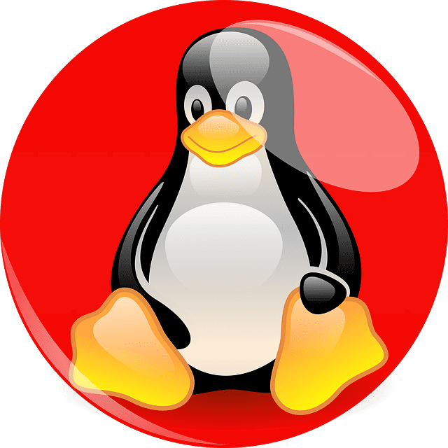 CVE-2022-3977