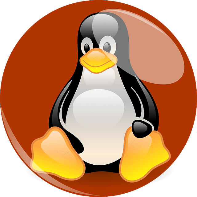 CVE-2023-0179 PoC
