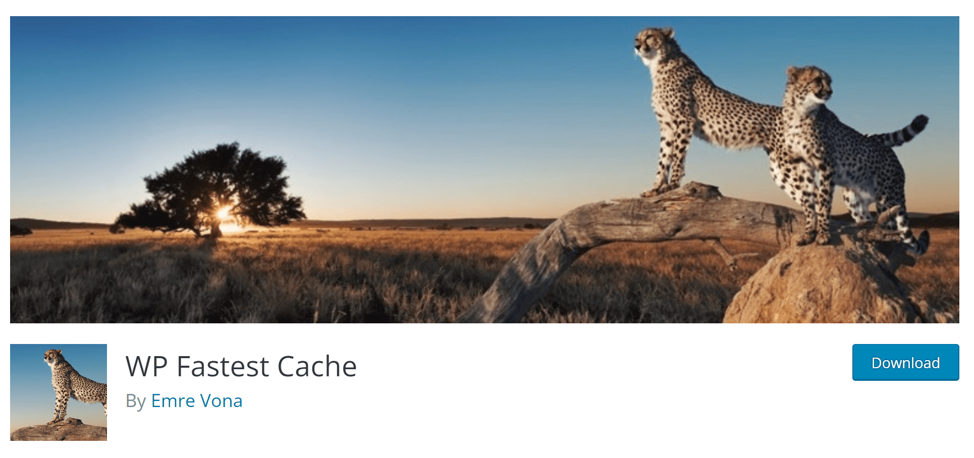 CVE-2023-6063