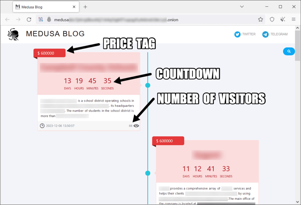 Medusa Ransomware