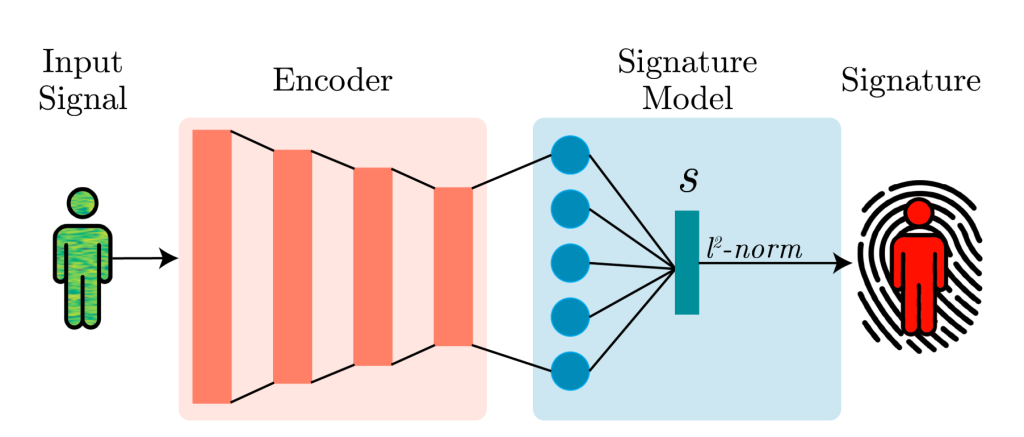 Wi-Fi Biometrics, WhoFi