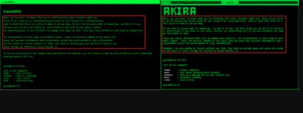 KAWA4096 Ransomware, Hybrid Ransomware