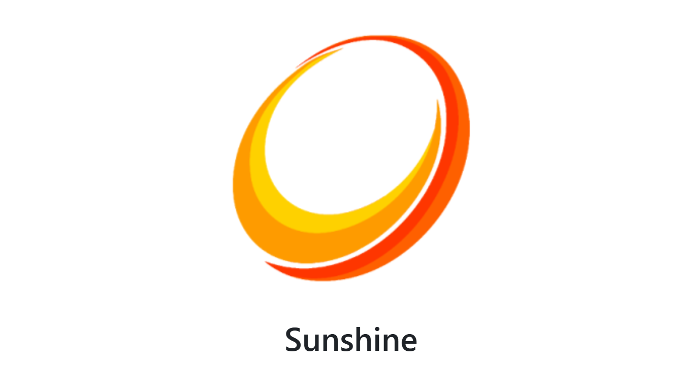 Sunshine for Windows, vulnerability