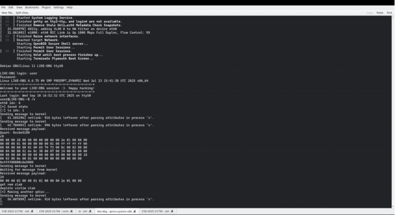 Linux Kernel vulnerability CVE-2025-21692