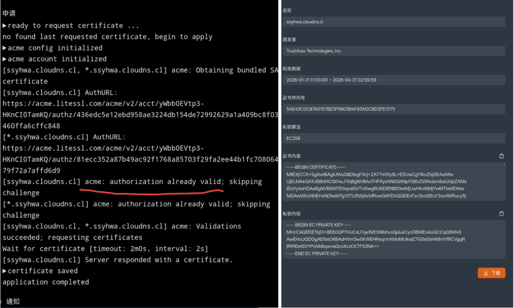 LiteSSL TrustAsia certificate revocation, ACME DNS-01 vulnerability