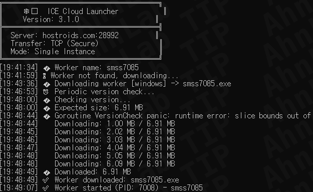 ICE Cloud Malware Larva-26002
