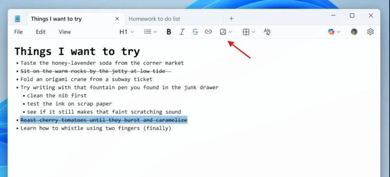 Windows 11 Notepad image support