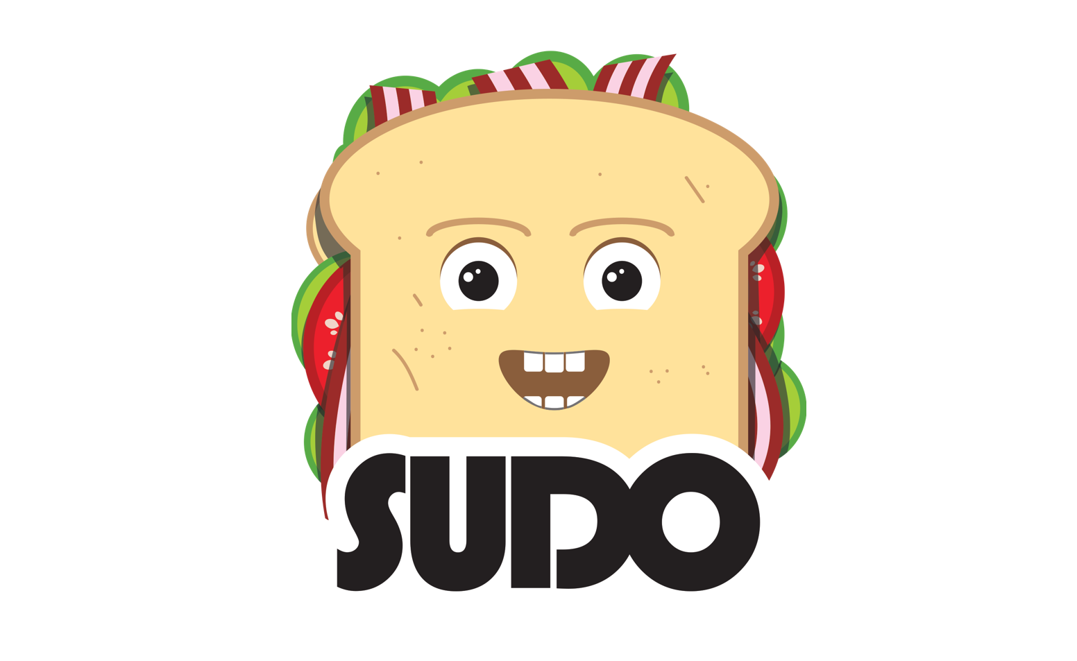 Sudo Vulnerability Local Privilege Escalation