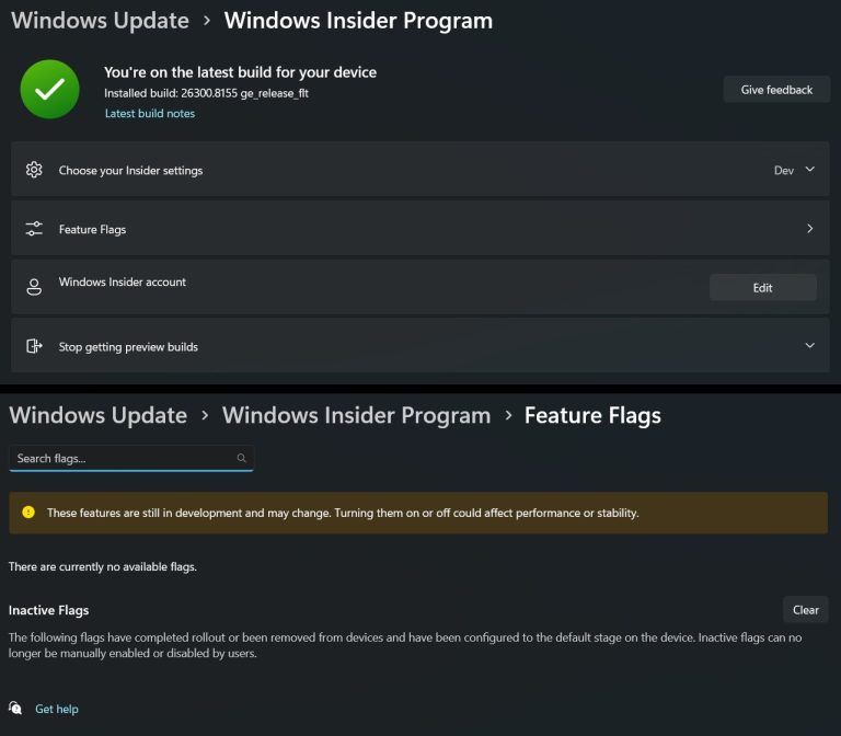 Windows 11 Feature Flags