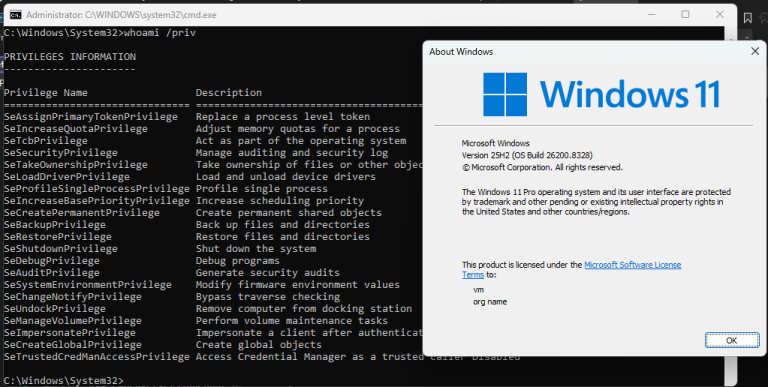 Windows Kernel EoP vulnerability