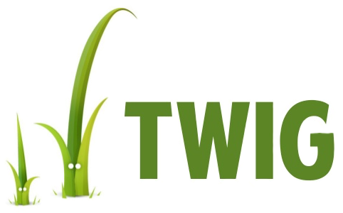 critical Twig RCE flaws