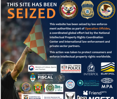 Website Seizure Graphic