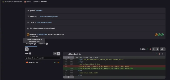 GnuTLS token leak and GitLab CI artifact exposure code snippet