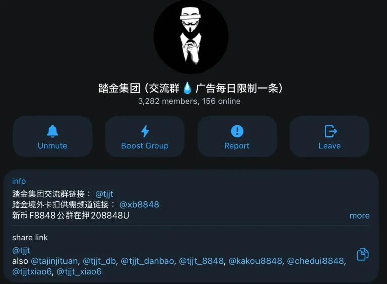 Tajin Group phishing network and Tajin Group money laundering scheme
