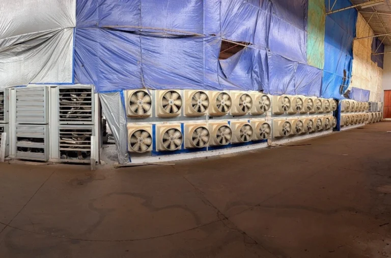 Operation Serengeti III Africa cybercrime crackdown led by INTERPOL with 1,462 arrests