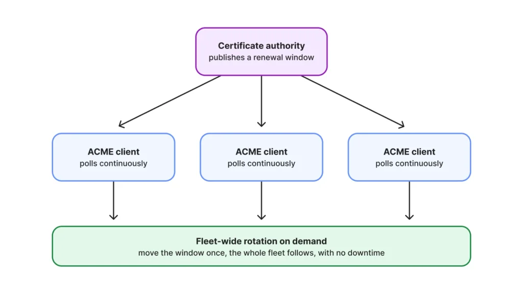 Diagram illustrating Cloudflare Certificate Authority issuing Merkle Tree Certificates for quantum-resistant HTTPS