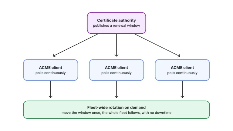 Diagram illustrating Cloudflare Certificate Authority issuing Merkle Tree Certificates for quantum-resistant HTTPS